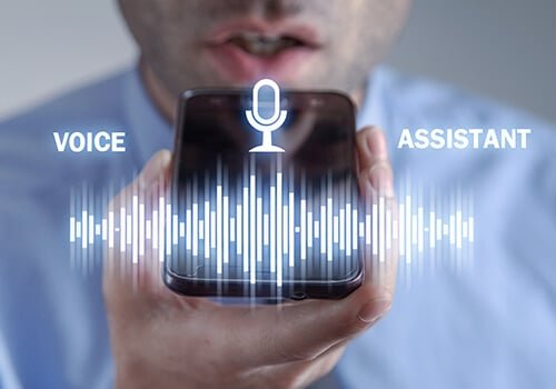 Voice & Signature Recognition Systems