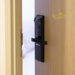 Smart Door Lock